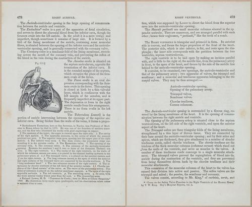 E675 - A System of Human Anatomy - 1857 - 4944-4945
