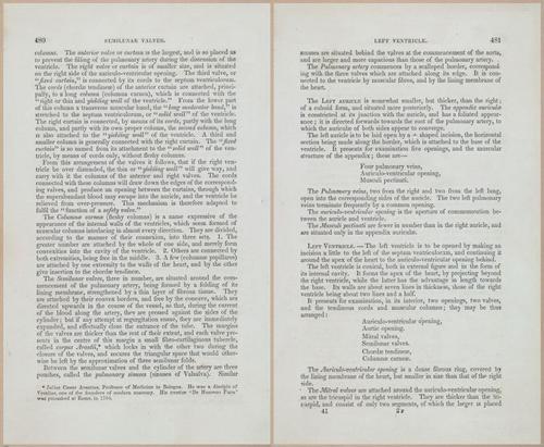 E675 - A System of Human Anatomy - 1857 - 4946-4947