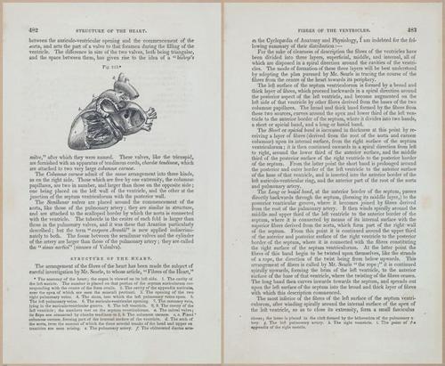 E675 - A System of Human Anatomy - 1857 - 4948-4949