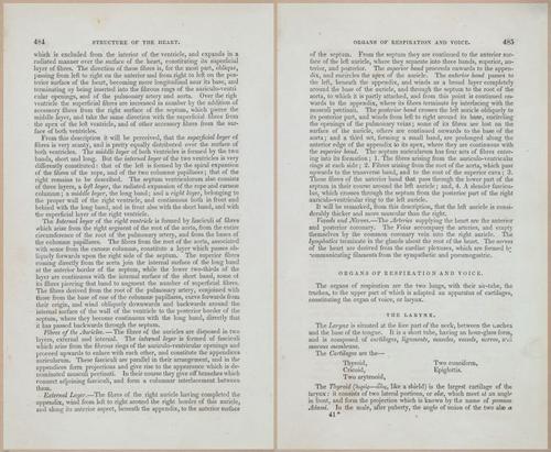 E675 - A System of Human Anatomy - 1857 - 4950-4951