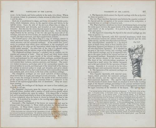 E675 - A System of Human Anatomy - 1857 - 4952-4953