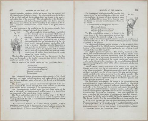 E675 - A System of Human Anatomy - 1857 - 4954-4955