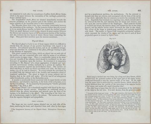 E675 - A System of Human Anatomy - 1857 - 4958-4959