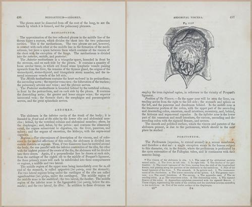 E675 - A System of Human Anatomy - 1857 - 4962-4963