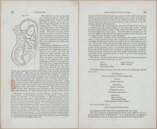 E675 - A System of Human Anatomy - 1857 - 4964-4965