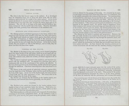E675 - A System of Human Anatomy - 5774-5775