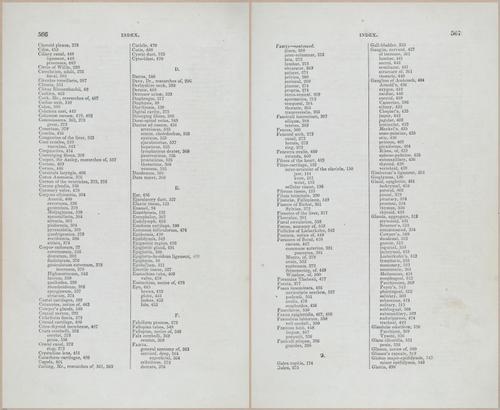 E675 - A System of Human Anatomy - 5780-5781