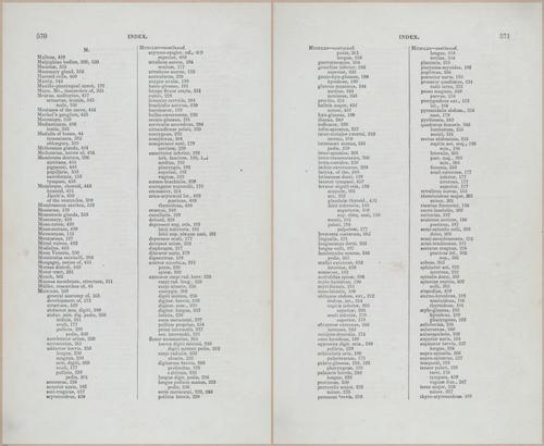 E675 - A System of Human Anatomy - 5784-5785