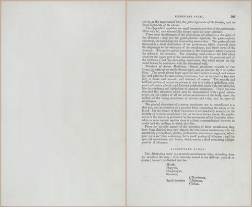E675 - A System of Human Anatomy - p92-5714