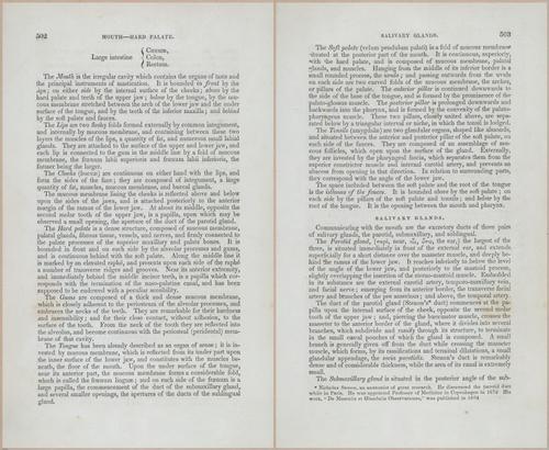 E675 - A System of Human Anatomy - p92-5715-5716