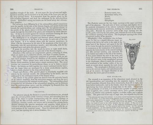 E675 - A System of Human Anatomy - p92-5717-5718