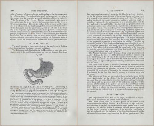 E675 - A System of Human Anatomy - p92-5719-5720