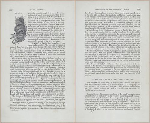 E675 - A System of Human Anatomy - p92-5721-5722