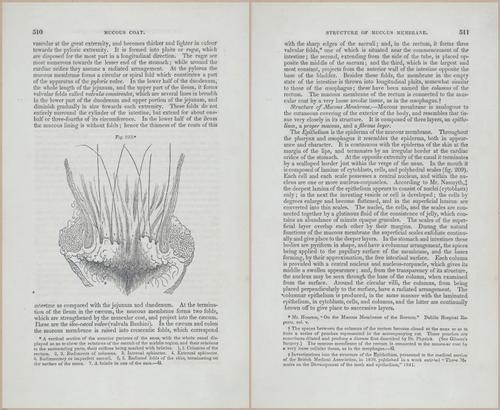 E675 - A System of Human Anatomy - p92-5723-5724