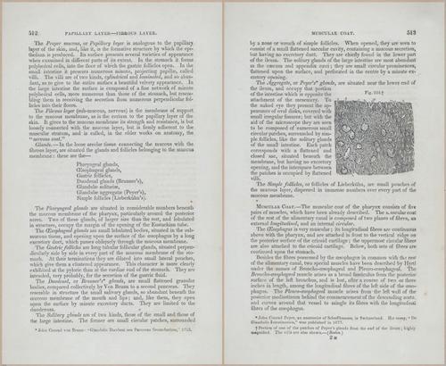 E675 - A System of Human Anatomy - p92-5725-5726