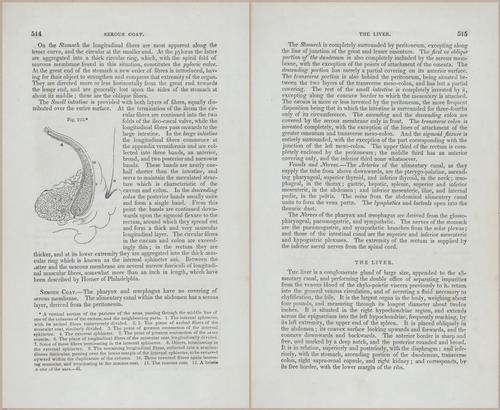 E675 - A System of Human Anatomy - p92-5727-5728