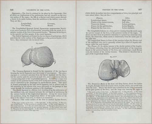 E675 - A System of Human Anatomy - p92-5729-5730
