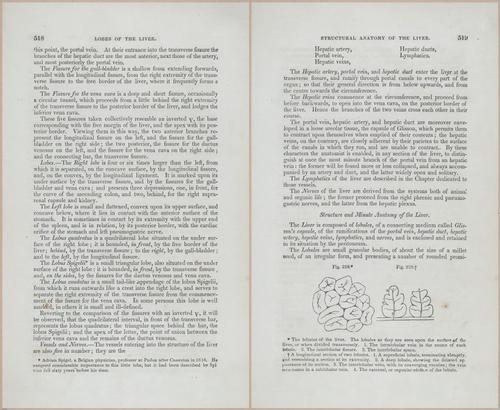 E675 - A System of Human Anatomy - p92-5731-5732