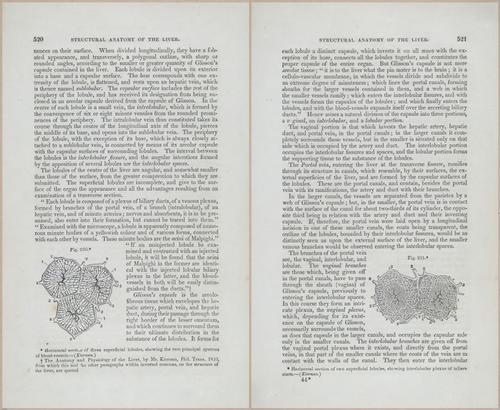 E675 - A System of Human Anatomy - p92-5733-5734