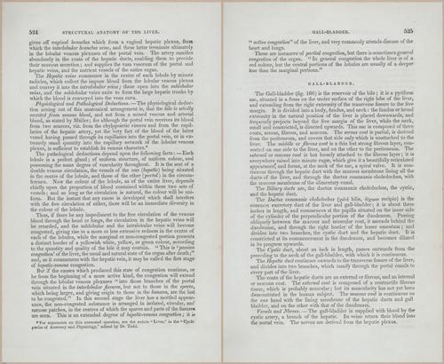 E675 - A System of Human Anatomy - p92-5737-5738