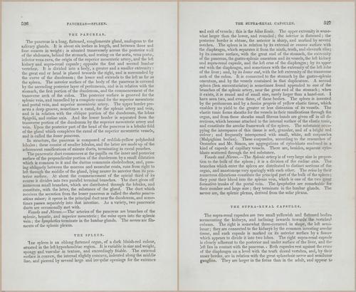 E675 - A System of Human Anatomy - p92-5739-5740