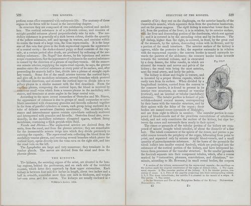 E675 - A System of Human Anatomy - p92-5741-5742