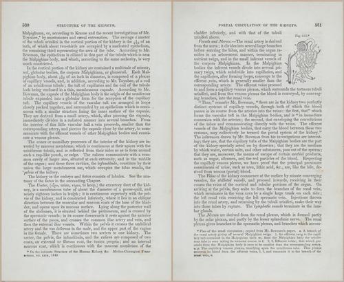 E675 - A System of Human Anatomy - p92-5743-5744