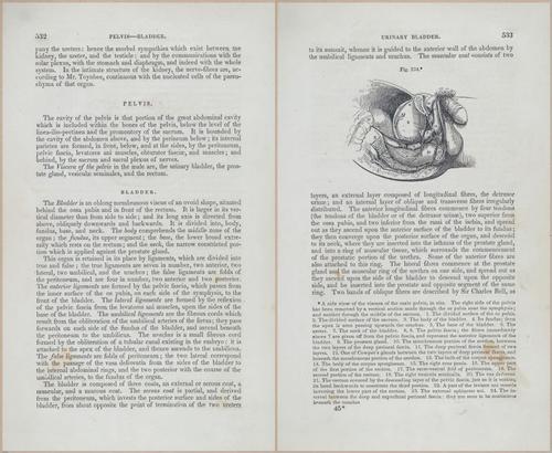 E675 - A System of Human Anatomy - p92-5745-5746