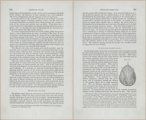 E675 - A System of Human Anatomy - p92-5747-5748