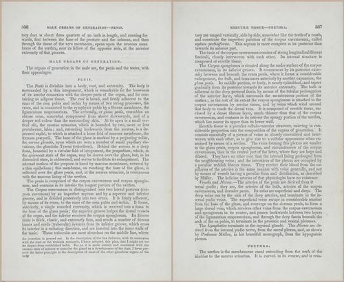 E675 - A System of Human Anatomy - p92-5749-5750