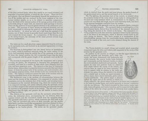 E675 - A System of Human Anatomy - p92-5753-5754
