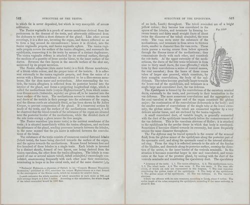E675 - A System of Human Anatomy - p92-5755-5756