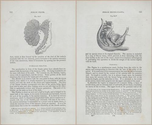 E675 - A System of Human Anatomy - p92-5757-5758