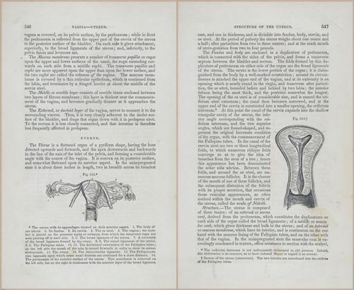E675 - A System of Human Anatomy - p92-5759-5760