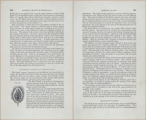 E675 - A System of Human Anatomy - p92-5763-5764