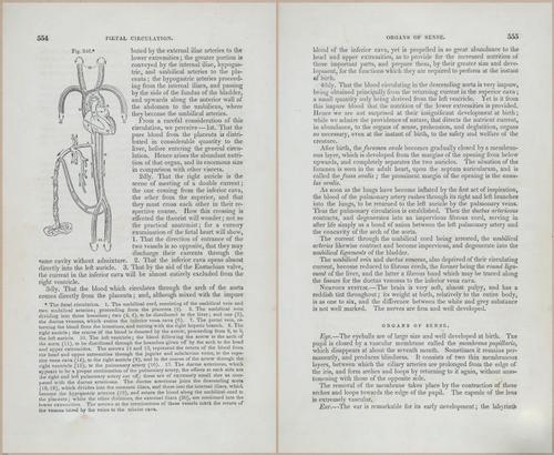E675 - A System of Human Anatomy - p92-5767-5768