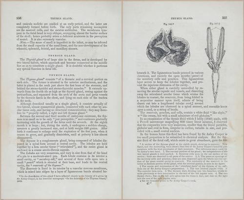 E675 - A System of Human Anatomy - p92-5769-5770