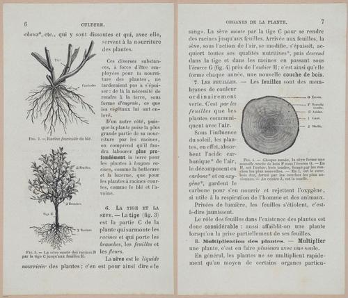 &nbsp;E694 - D'Agriculture - i6028-6029