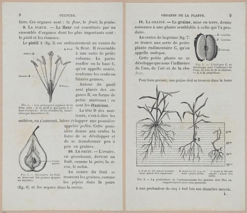 &nbsp;E694 - D'Agriculture - i6030-6031