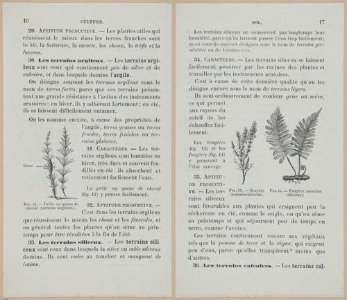 &nbsp;E694 - D'Agriculture - i6038-6039