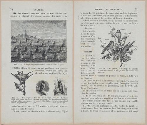 &nbsp;E694 - D'Agriculture - i6096-6097
