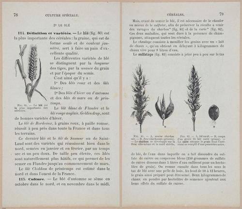 &nbsp;E694 - D'Agriculture - i6100-6101