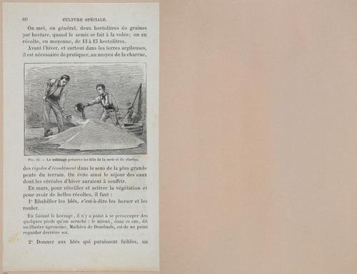 &nbsp;E694 - D'Agriculture - i6102