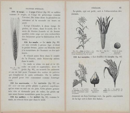 &nbsp;E694 - D'Agriculture - i6105-6106