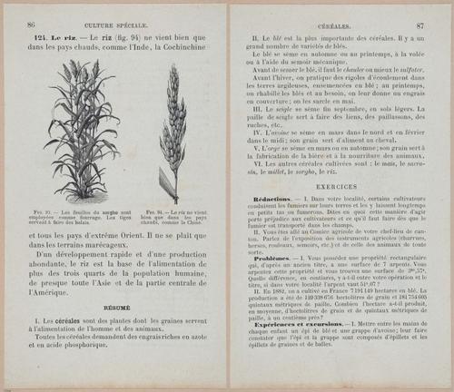 &nbsp;E694 - D'Agriculture - i6107-6108