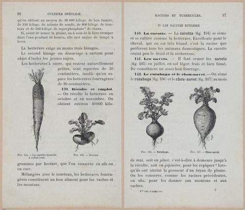 &nbsp;E694 - D'Agriculture - i6117-6118