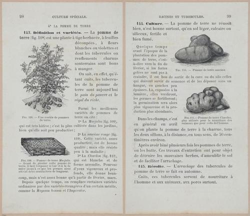 &nbsp;E694 - D'Agriculture - i6119-6120