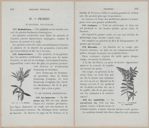 &nbsp;E694 - D'Agriculture - i6123-6124