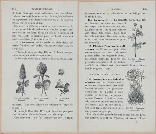 &nbsp;E694 - D'Agriculture - i6125-6126