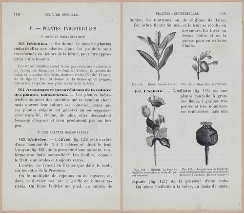 &nbsp;E694 - D'Agriculture - i6131-6132